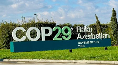 Bu nazirlik COP29 çərçivəsində keçirəcəyi tədbirləri açıqladı