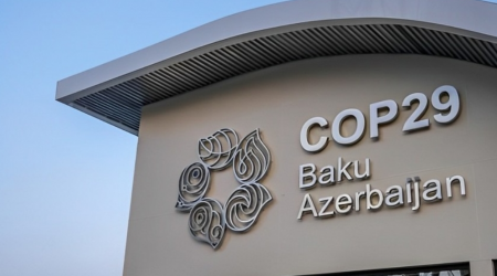 COP29 çərçivəsində bu sosial mövzular müzakirə ediləcək - SİYAHI