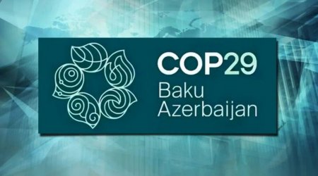 COP29-da Kaliforniya Universitetinin müəllim və tələbələri də iştirak edəcək