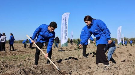 Hacıqabulda Tuqay meşəsinin bərpası aksiyası keçirilib - FOTO