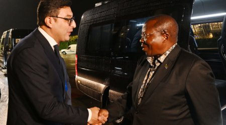 Tanzaniyanın Vitse-prezidenti Azərbaycana gəldi – FOTO