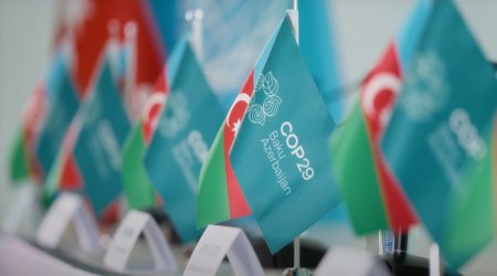 COP29-un Yaşıl Zonasında “İqlim ədaləti və bərabərlik” mövzusunda panel sessiyası keçirilib