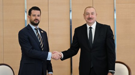 İlham Əliyev Monteneqronun Prezidenti ilə GÖRÜŞDÜ