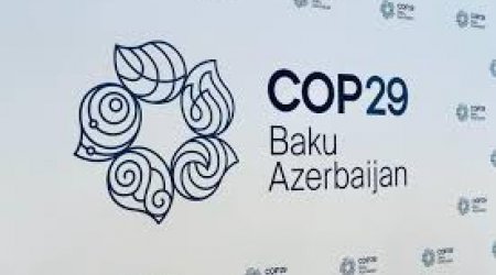 COP29-da daha bir önəmli aksiya: İqlim insanların yaşayışına ciddi ziyan vurub - VİDEO