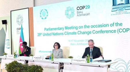 COP29 çərçivəsində keçirilən Parlament Görüşünün ilk günü başa çatdı - FOTO/VİDEO