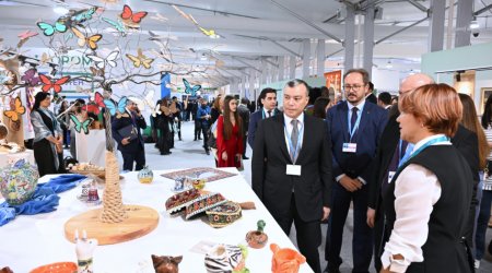 Nazir DOST Mərkəzinin COP29-dakı SƏRGİSİNDƏ - FOTO