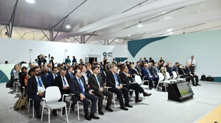 COP29-da insan kapitalına investisiyaların iqlim fəaliyyətinə təsiri MÜZAKİRƏ OLUNDU - FOTO