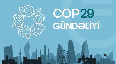 COP29 gündəliyi - 19.11.2024