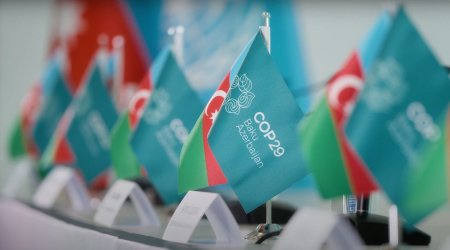 COP29 çərçivəsində “Vahid Sağlamlıq Konfransı” keçirilir