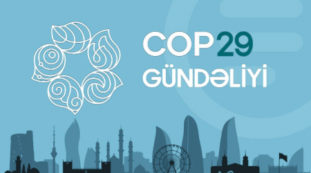 COP29 gündəliyi - 21.11.2024