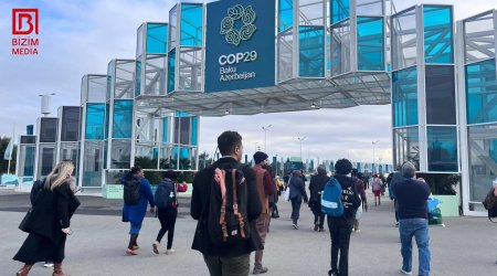 COP29-un 11-ci günündən FOTOREPORTAJ