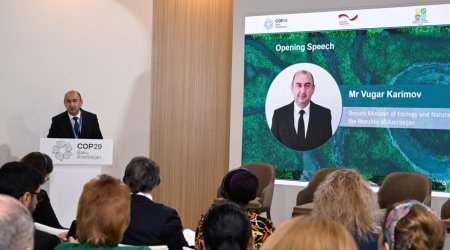 COP29-da iqlim dəyişikliyinin transsərhəd su resurslarına təsiri müzakirə edilib