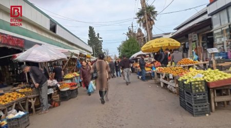 Lənkəranda BALIQ BOLLUĞU – Qiymətlər kəskin ENDİ – FOTO