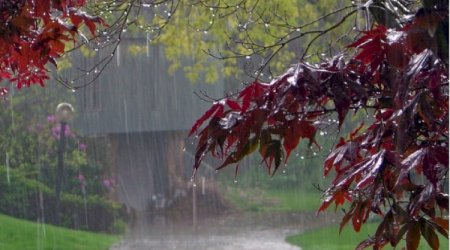 Bu günün hava PROQNOZU - YAĞIŞ YAĞACAQ