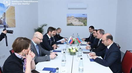 Slovakiya XİN başçısı ilə regional sülh səyləri müzakirə edilib - FOTO