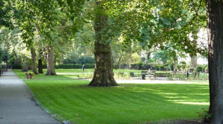 Azad edilmiş ərazilərdə yeni Milli Park yaradılacaq