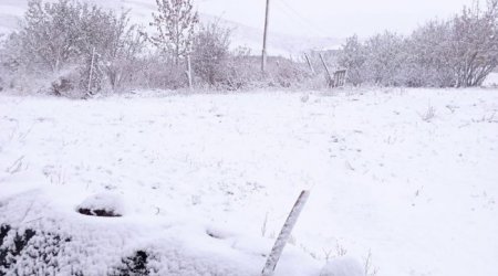 Şimal bölgəsində qarlı hava bu gün səngiyib