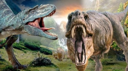 166 milyon illik KƏŞF – Dinozavrların ayaq izləri aşkarlandı – FOTO