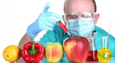 Xaricdən gətirilən TƏHLÜKƏ – GMO məhsulları ölkəmizə necə DAXİL OLUR?