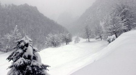 Hava kəskin DƏYİŞİR: Qar yağacaq, yollar buz bağlayacaq - BU TARİXDƏ