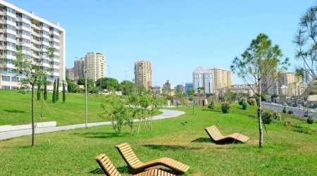 Bakıda iki böyük park istifadəyə VERİLƏCƏK