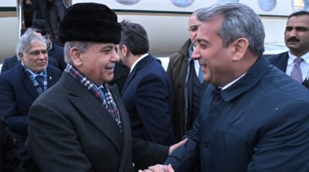 Tbilisidə prezident sarayına hücumun təşkilatçıları həbs olundu