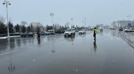 Prezident Qarabağ və Şərqi Zəngəzurun bərpasına dəstəyə görə qardaş ölkələrə TƏŞƏKKÜR ETDİ - VİDEO