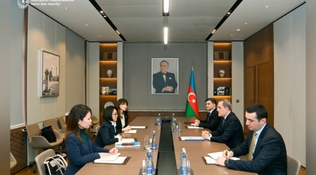 Azərbaycan-BMT əlaqələri və perspektivlər müzakirə edildi - FOTO