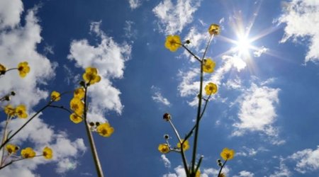 8 martda gözlənilən HAVA: 22 dərəcə isti...