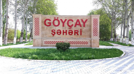 Göyçayda DƏHŞƏT: 36 yaşlı kişi siçan dərmanı içdi