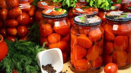 Şəmkirdə iki nəfər pomidor turşusundan ZƏHƏRLƏNDİ