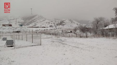 Şimal bölgəsi yenə ağ örpəyə BÜRÜNDÜ – FOTO