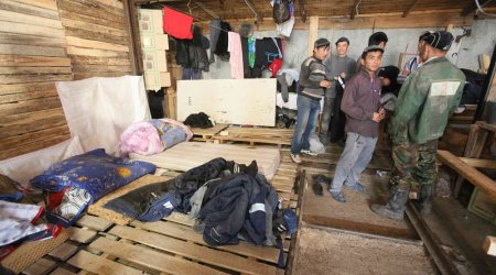 Rusiyalı nənədən qeyri-adi CİNAYƏT – 83 miqrantı... - FOTO