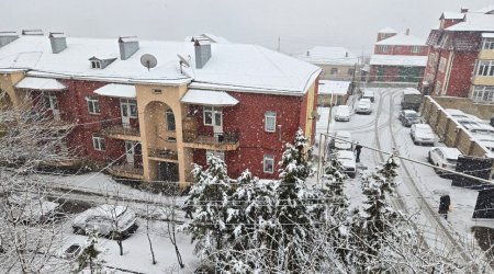 Qusardan maraqlı GÖRÜNTÜ