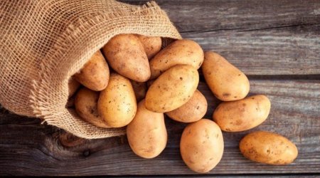 Deputat kartofun kiloqramının 7 manata olmasından DANIŞDI