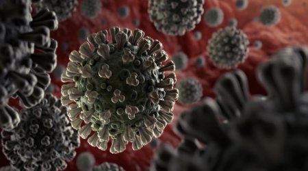 Bəşəriyyət yeni ölümcül epidemiya ilə üz-üzə: Bu heyvanlardan keçəcək