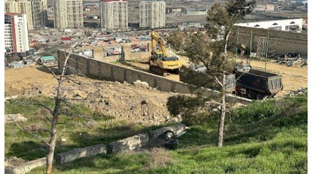 Badamdarda sürüşmə zonasında 40 illik şam ağacları məhv edildi — Yerində obyekt tikən kimdir? - FOTO/VİDEO