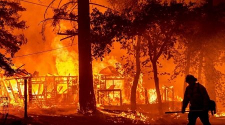 Cənubi Koreyada meşə yanğınları nəticəsində 24 nəfər həyatını itirib