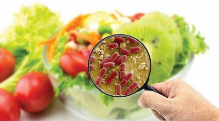 Qidada olan antibiotiklər: Onlar niyə təhlükəlidir?
