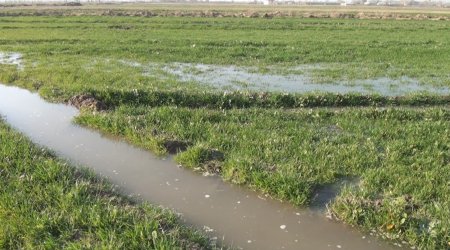 Ağdamda əkin sahələri fasiləsiz olaraq suvarılır, içməli suya tələbat ödənilir - FOTO