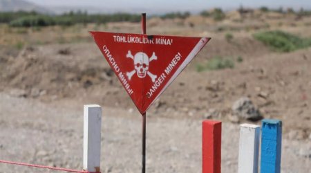 İkinci Qarabağ müharibəsindən sonra 387 azərbaycanlı mina qurbanı olub