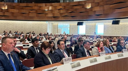 Cenevrədə beynəlxalq forumda Azərbaycanda aparılan sosial islahatlara dair məlumatlar verildi - FOTO