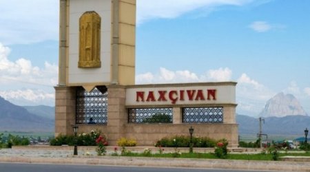 Naxçıvan gömrüyündə bəyan edilməyən meyvə-tərəvəz yükü AŞKARLANDI - FOTO