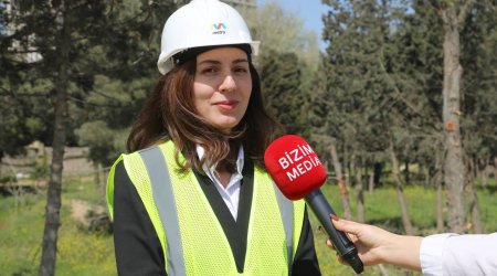 Depodan 446 ağac KÖÇÜRÜLƏCƏK