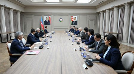 Baş nazir moldovalı həmkarının müavini ilə ikitərəfli əməkdaşlığı MÜZAKİRƏ ETDİ