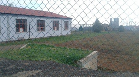 Gədəbəydə stadionu şumladılar: Kartof əkəcəklər - FOTO