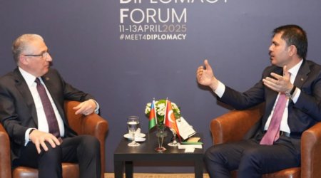 Türkiyəli nazir Azərbaycana təşəkkür etdi