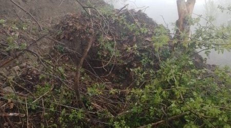 Qubada torpaq sürüşməsi baş verən ərazidə vəziyyət necədir? - FOTO