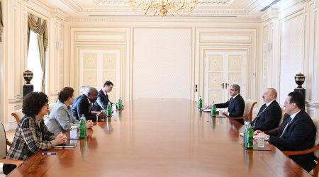 İlham Əliyev Beynəlxalq Əmək Təşkilatının Baş direktorunu qəbul edib - FOTO