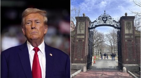 Trampla Harvard Universiteti arasında QARŞIDURMA – NƏ BAŞ VERİR?